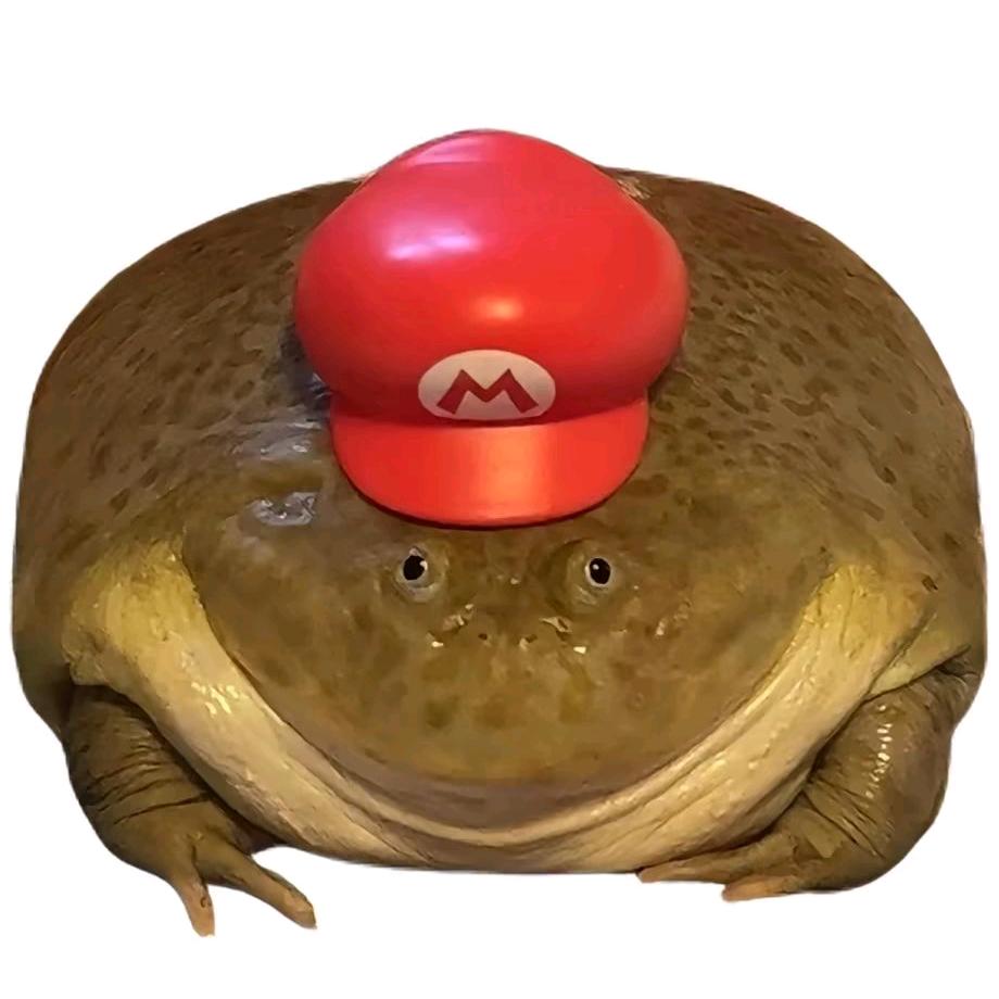 -𝙍𝙚.