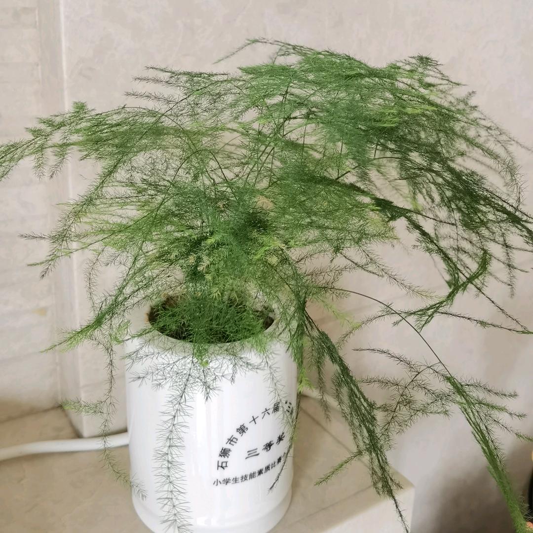 酷G网络