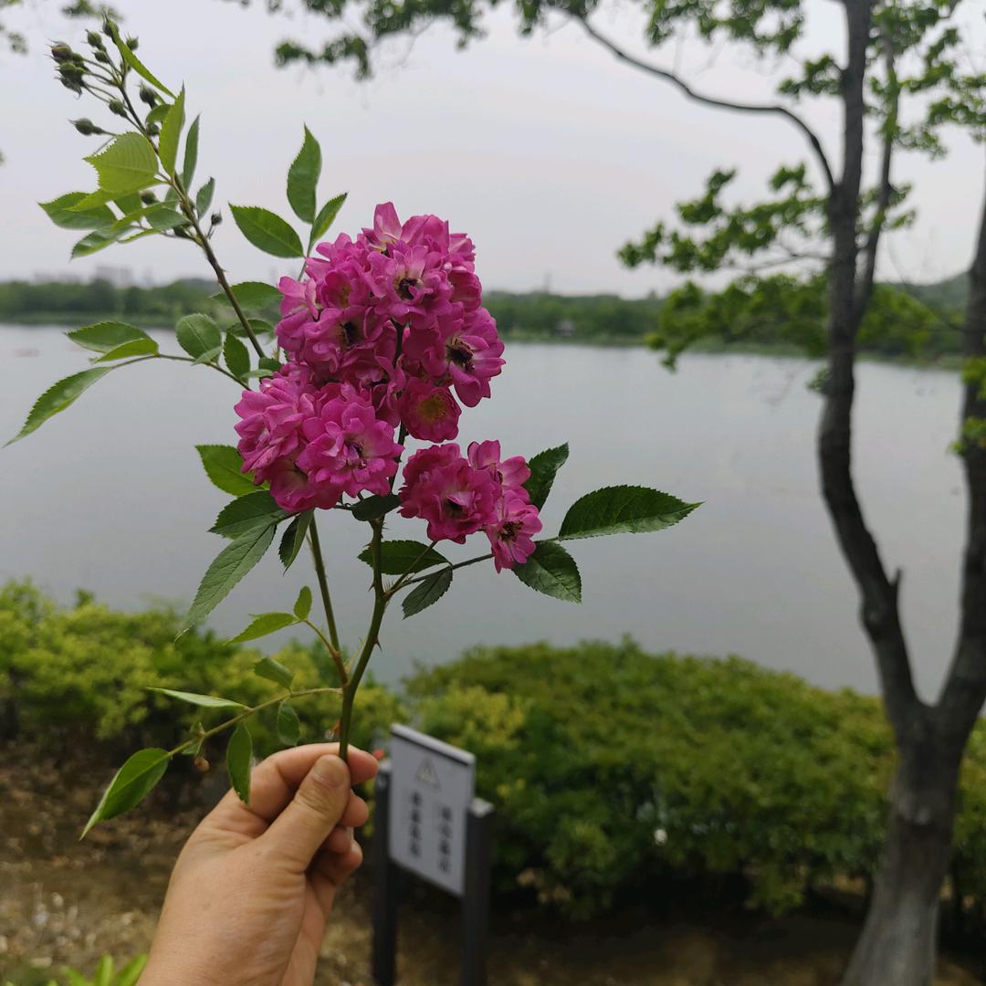 雨郭天晴🌸