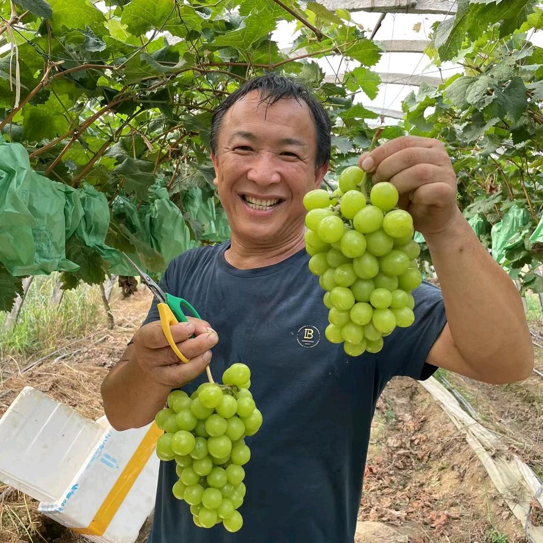 高金平