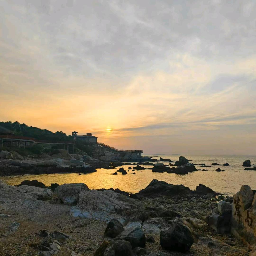 山东专升本-李老师