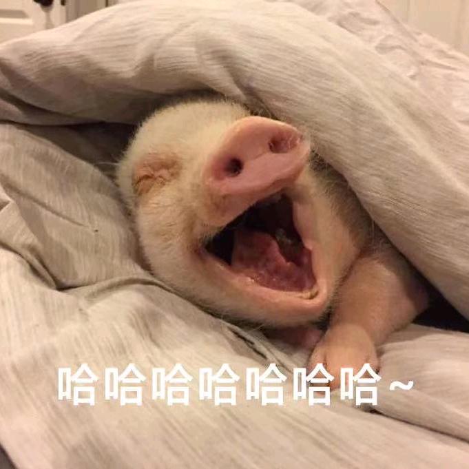 田鹿鹿的变美日记