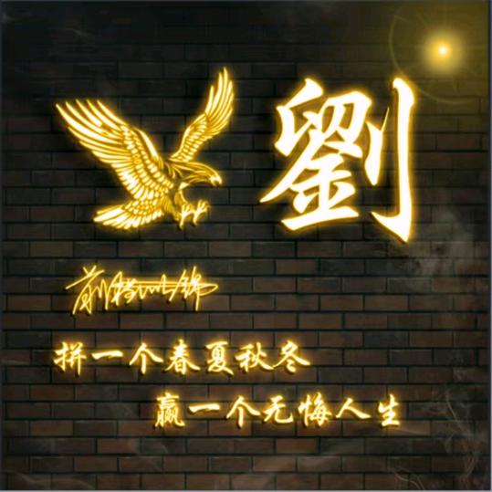 磊