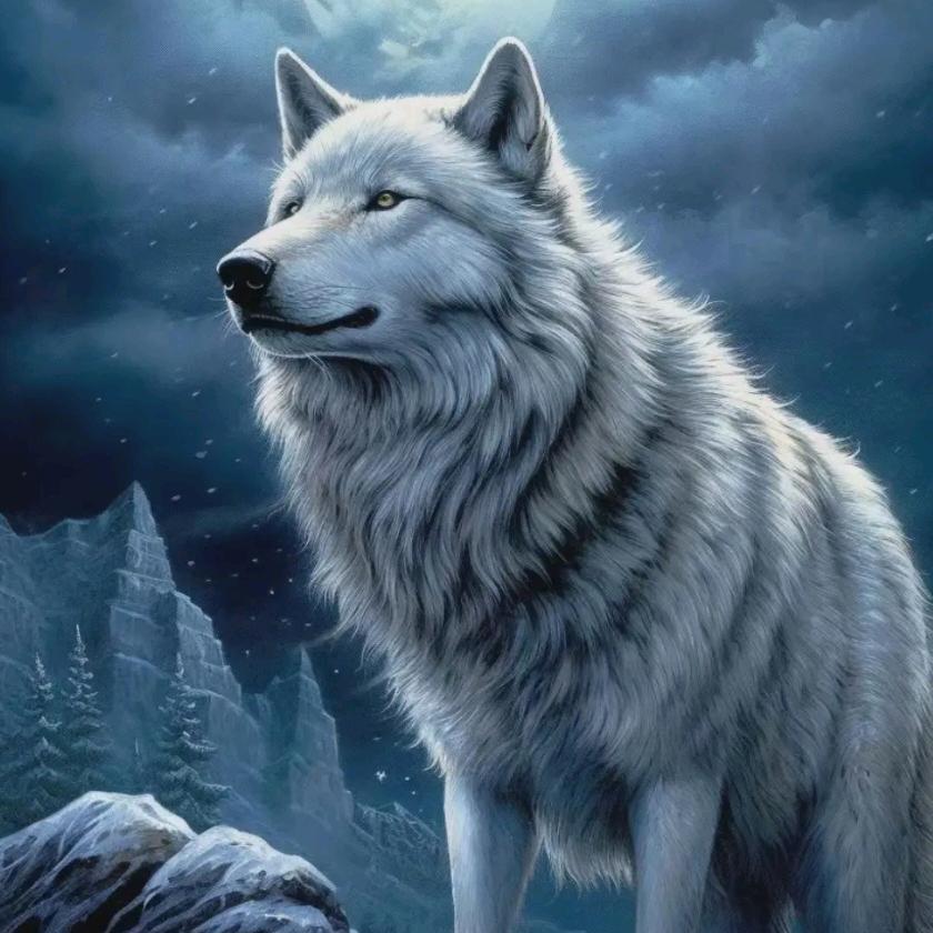 🚬孤🐺