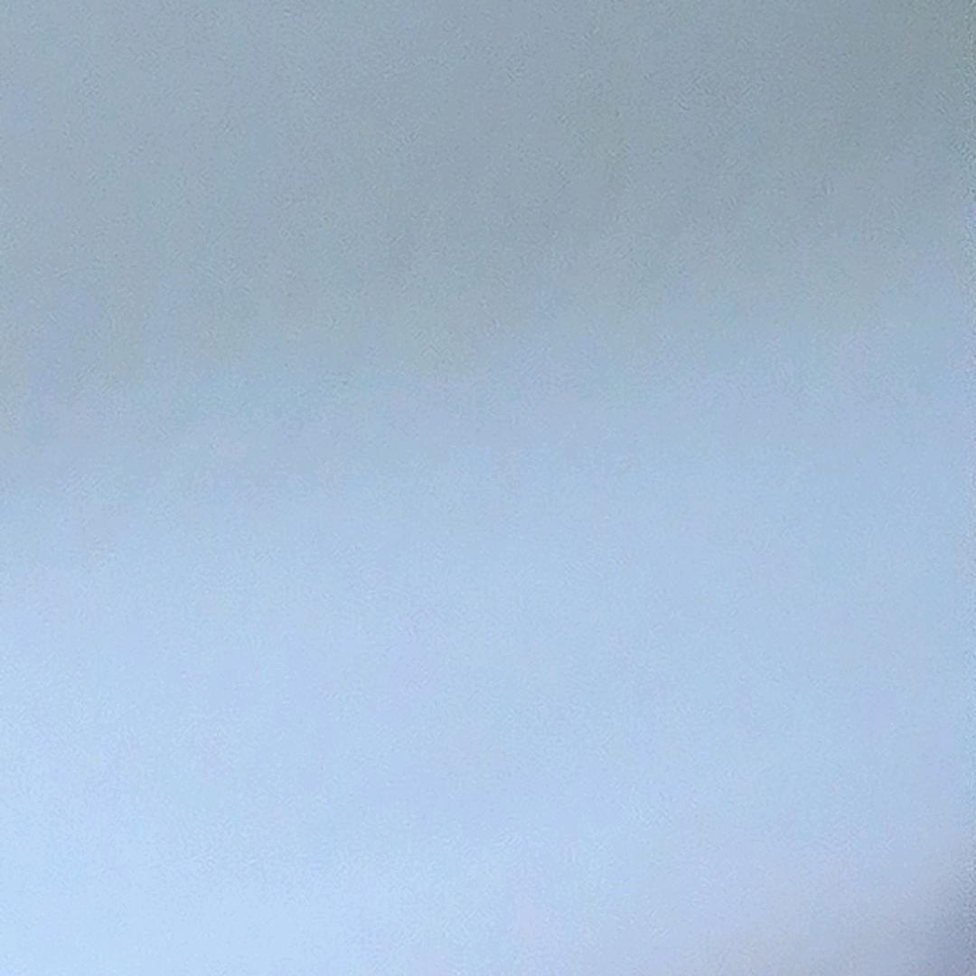……………