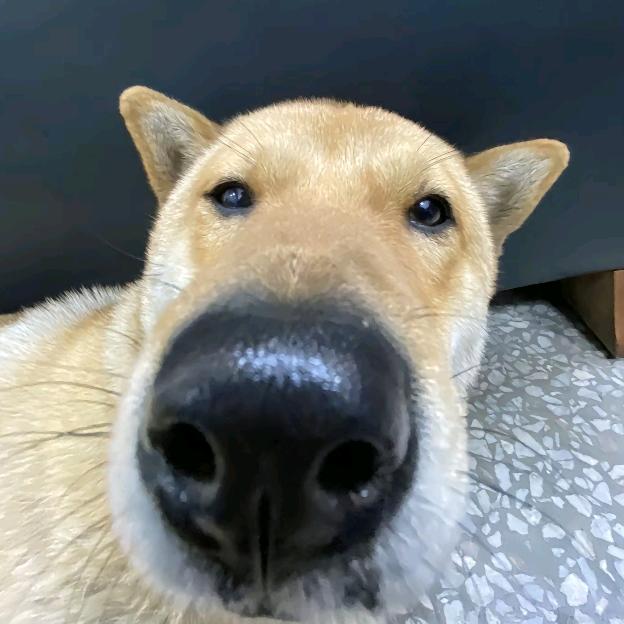 我的网名叫我的网名叫网名