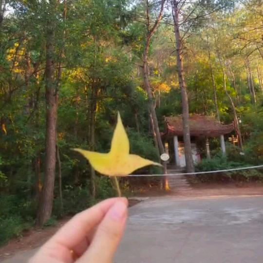 ✨ོ黄ꦿএ᭄