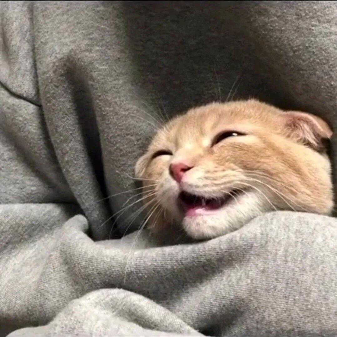 M .