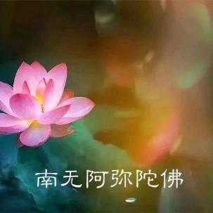 宝奶奶