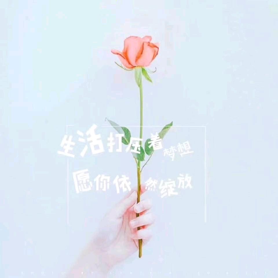 舒航