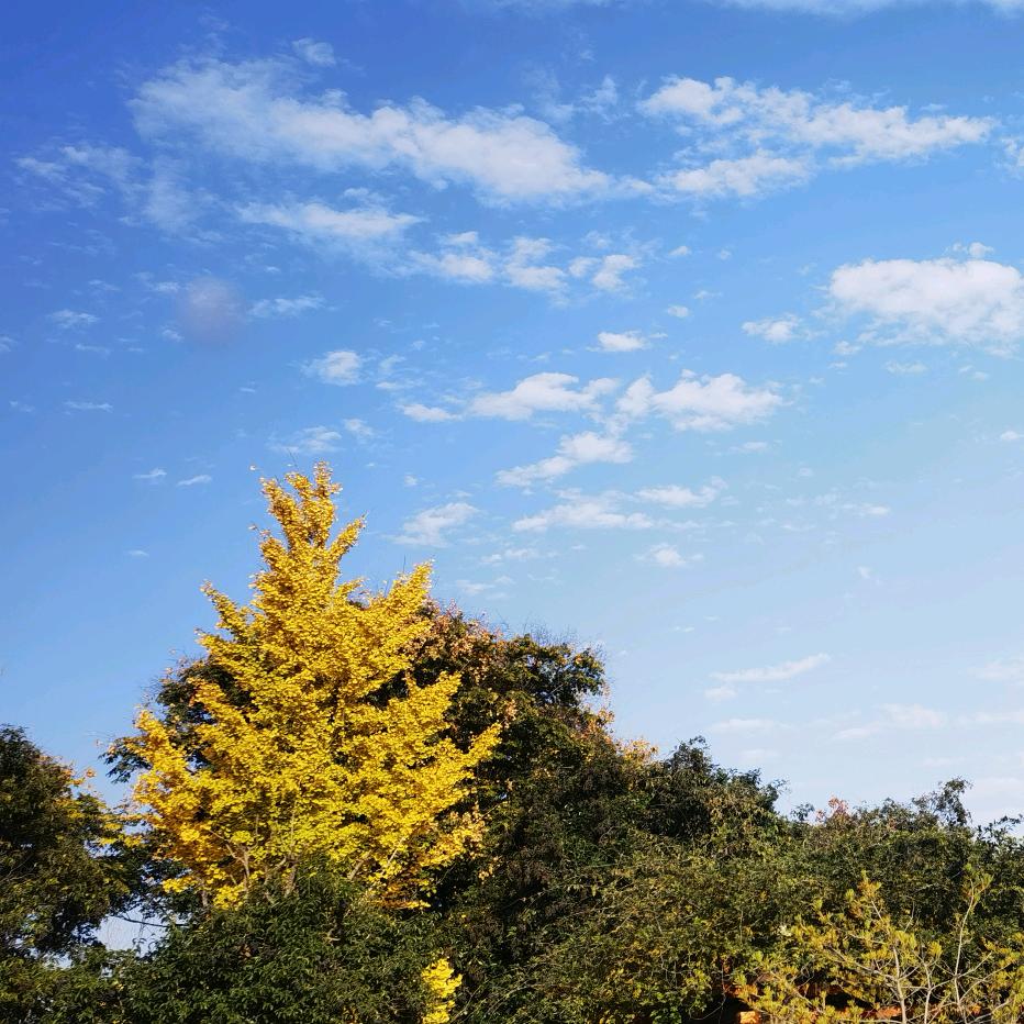 无所谓🤷‍♀️