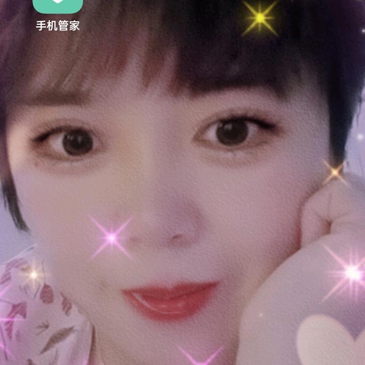 红叶树下的蝴蝶🦋