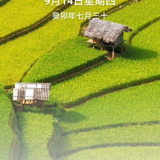 认识是缘