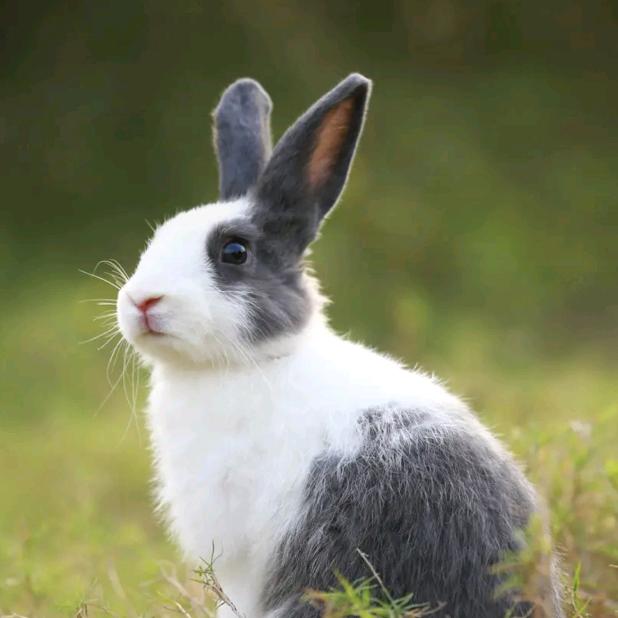 锂电池厂家直销