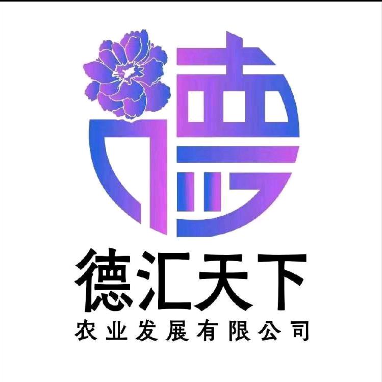 德汇天下   李卫卫  专业种植