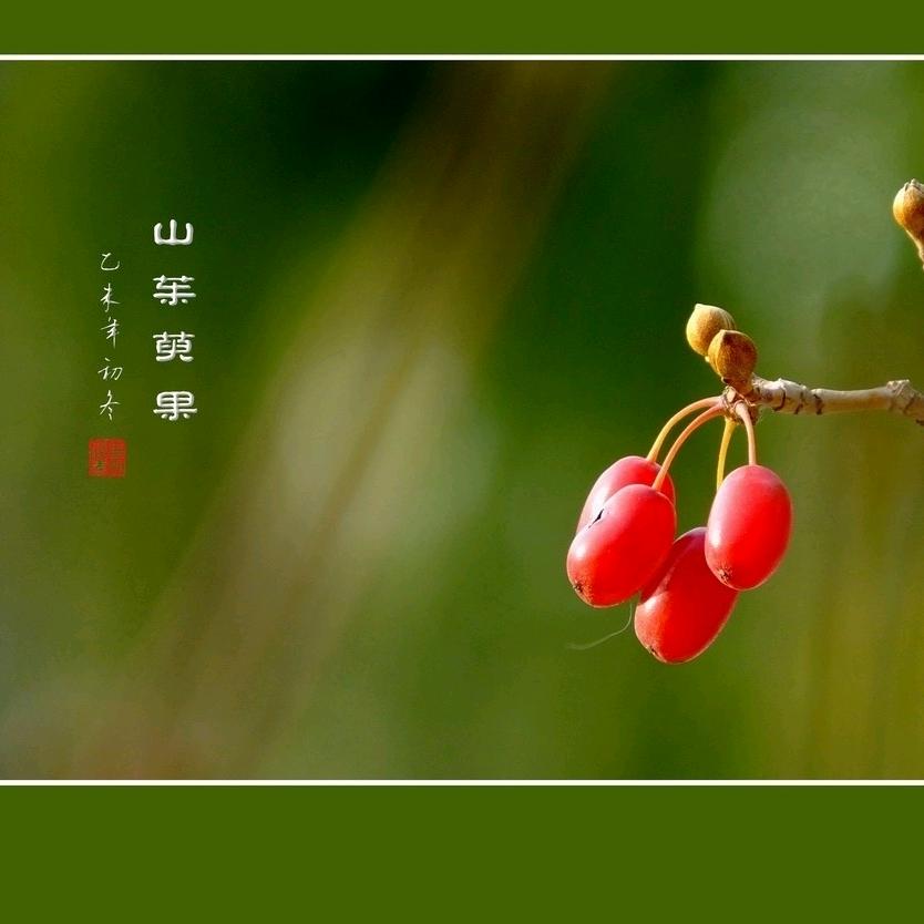 伏牛山珍品坊