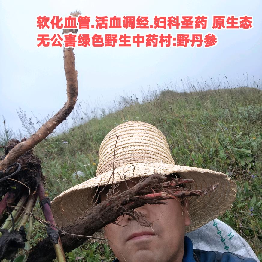 渭河源老殊