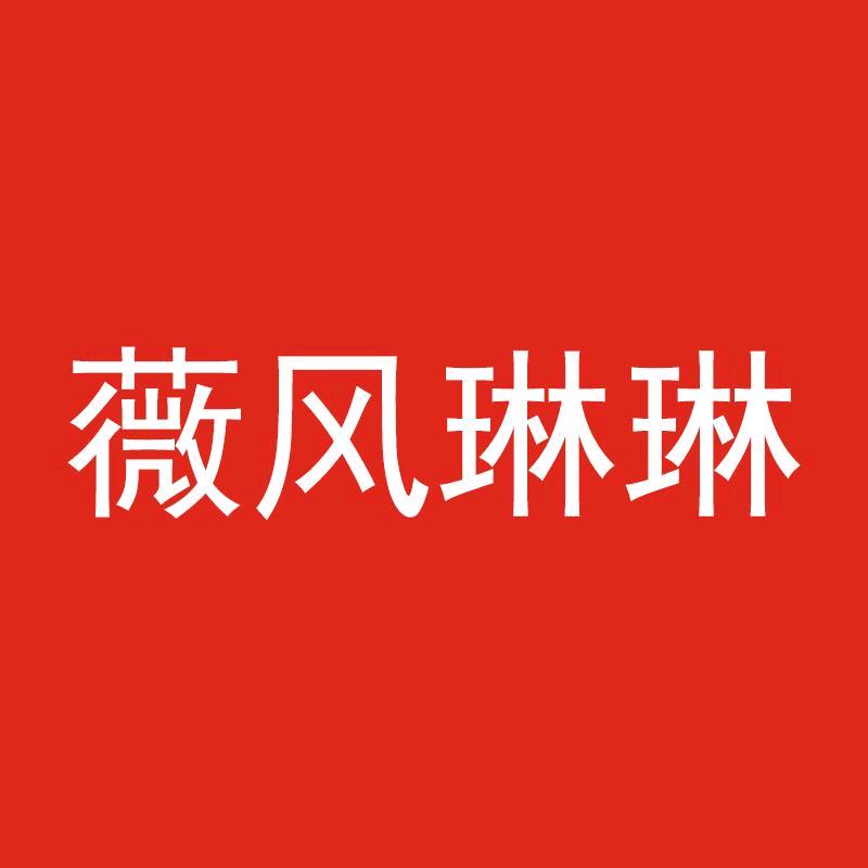 薇风琳琳女装旗舰店