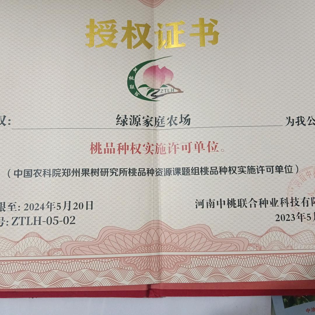 安阳内黄绿源苗木（雨航果苗)