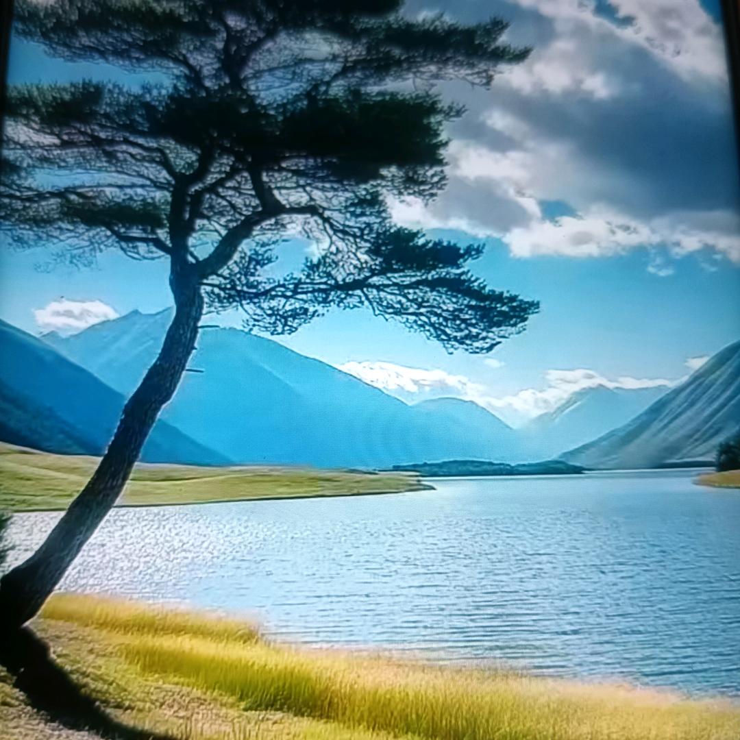 拼搏