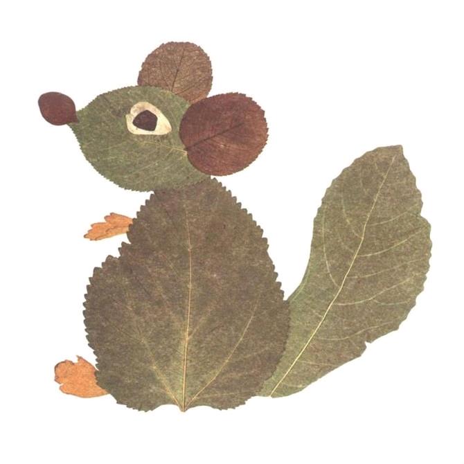 画不圆的圈