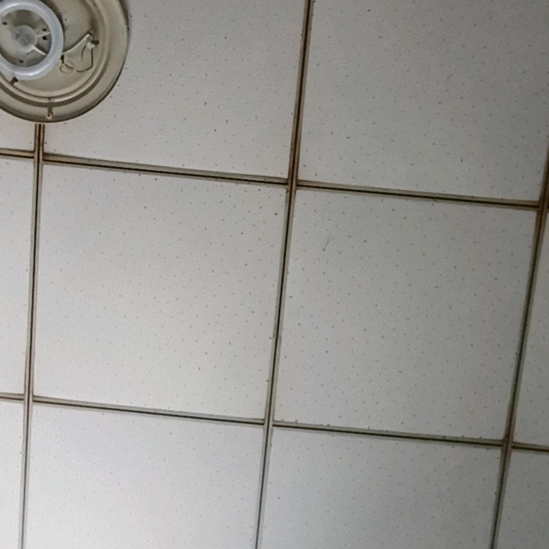 冉冉奶奶