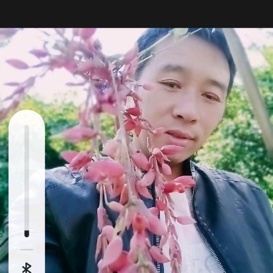 椰子弹琴