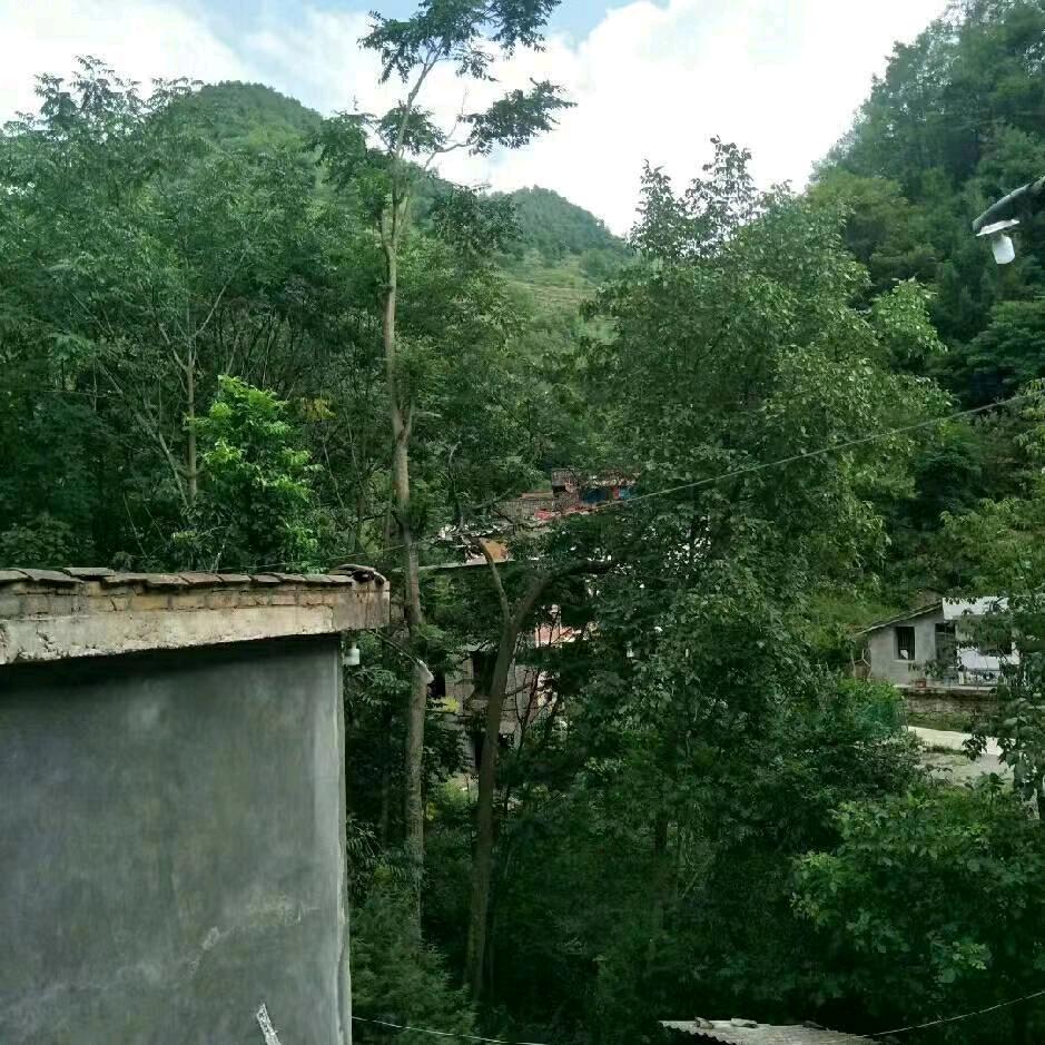 一生随缘