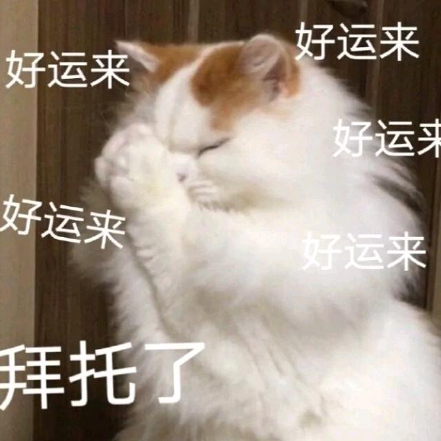 暴躁🐻