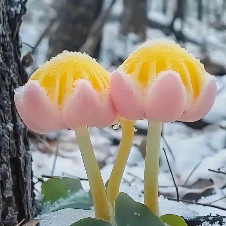 ღ᭄💞时光ོএ静好ღ᭄ 💞