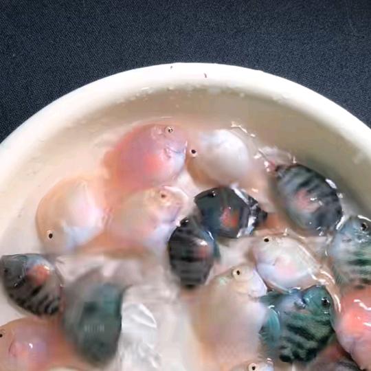 用户wbxjzbkknzghbx