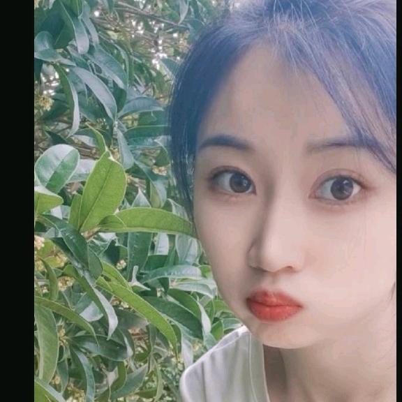 李毛 不要连赞哦