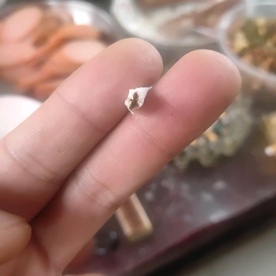 biu..biu…中意你