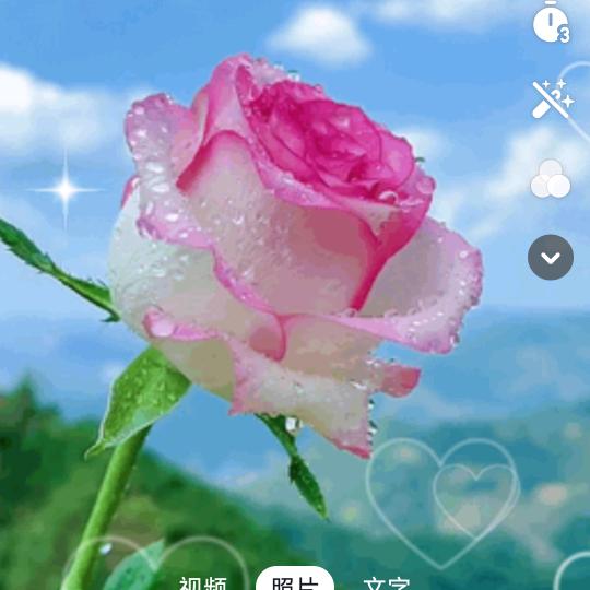 缘由天定