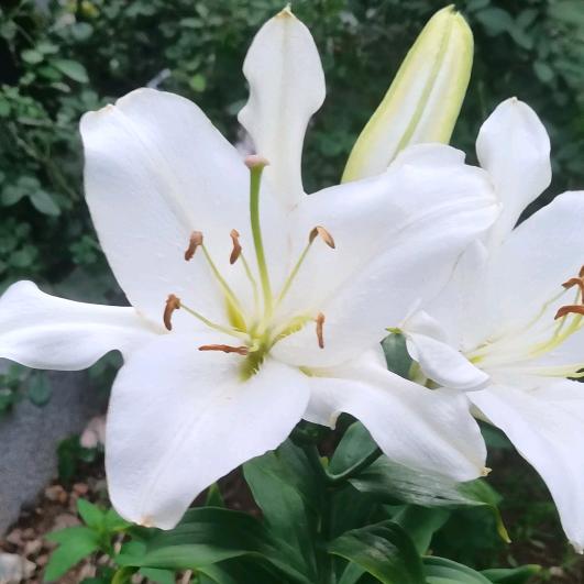 💔💔 清醒💘💘  拒绝私