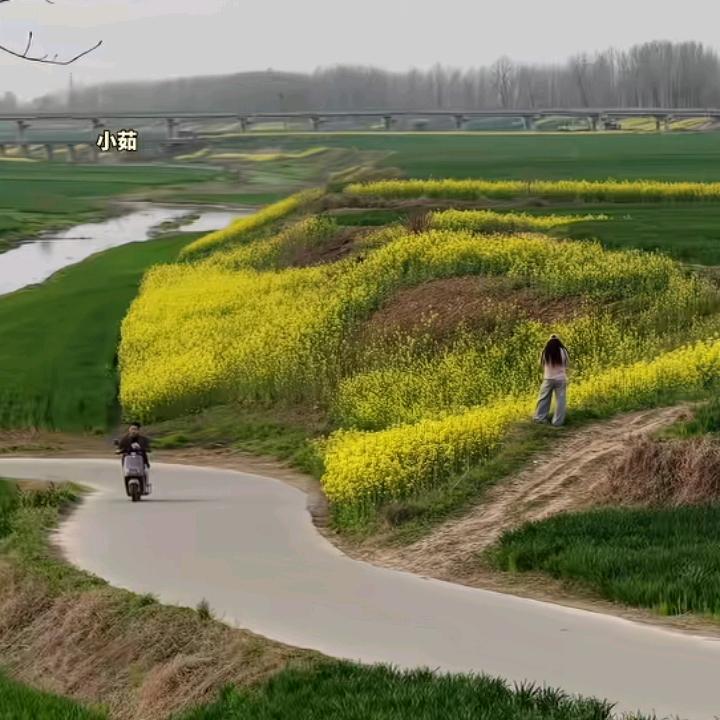 云朵漫步