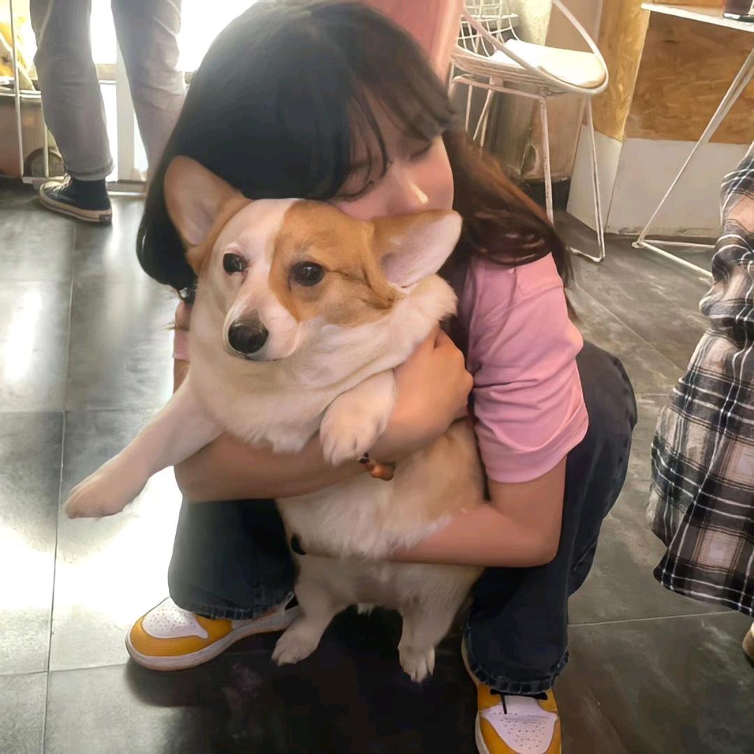 全都寿司吧🍣