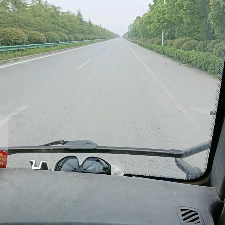 虎