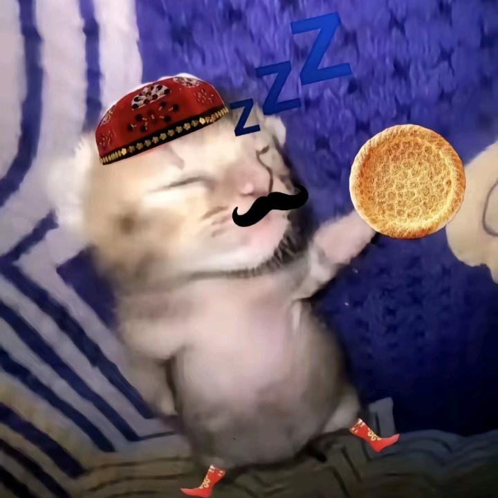 良褚