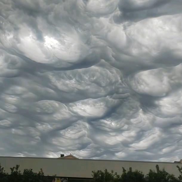 嫌弃🐺的铲屎官☀️