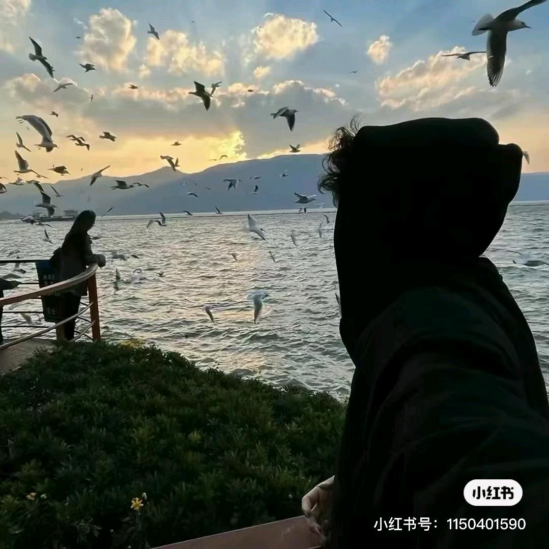 佐佑 '͜'