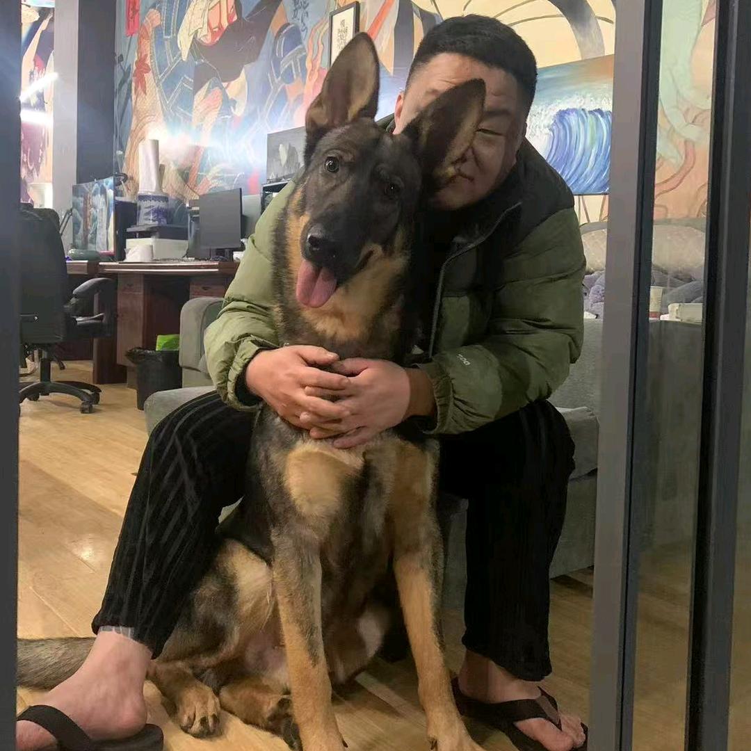 我的名字