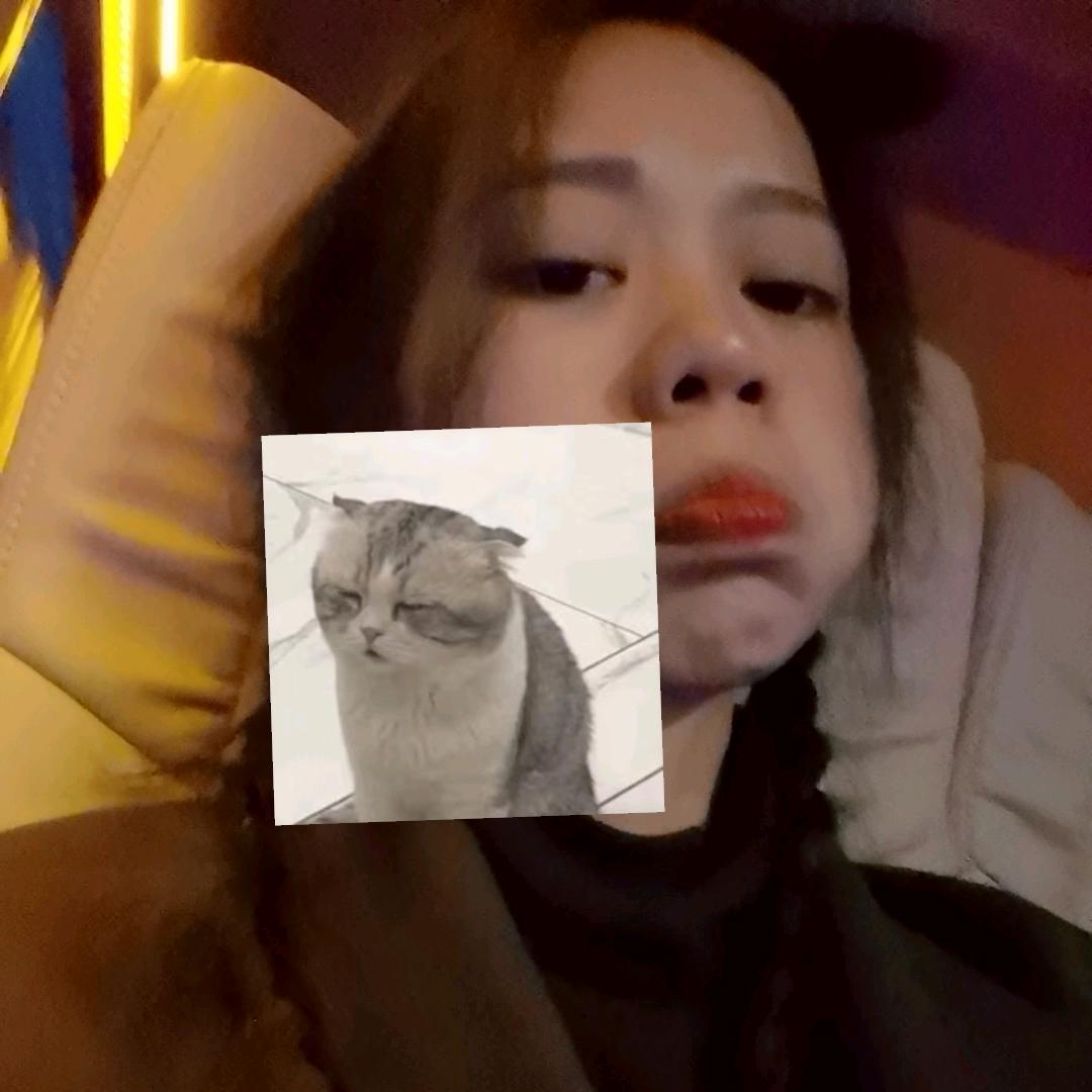 百色