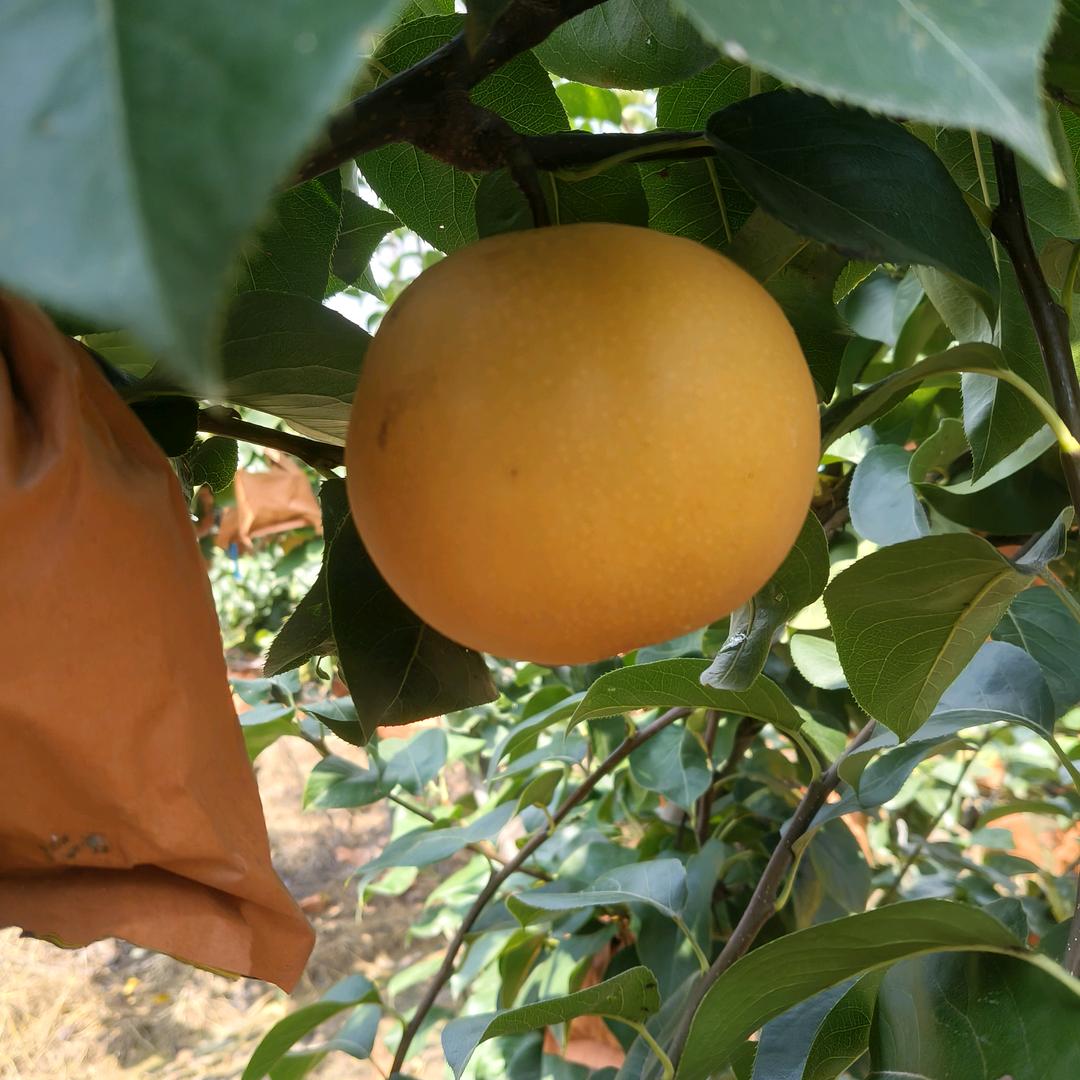 怡兴杰家庭农场