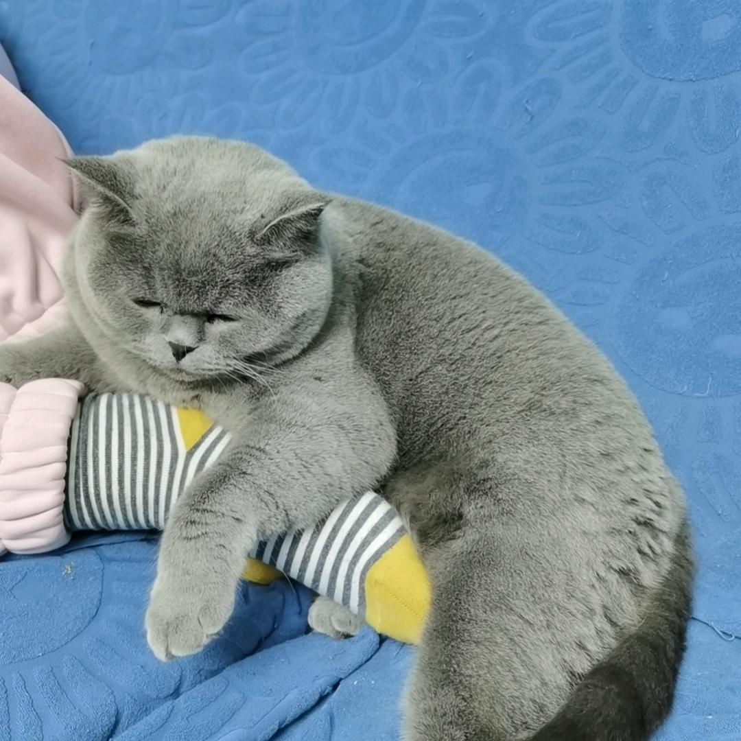 aaa人生