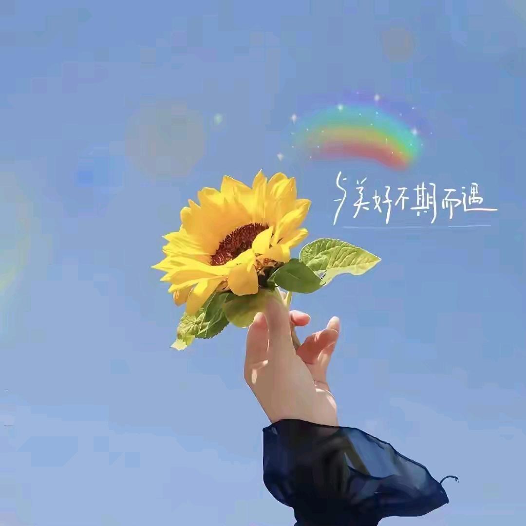 米粒儿