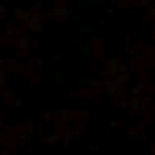 🎵