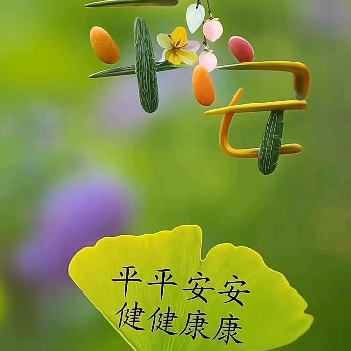 🌺LIU🍀