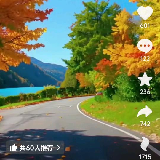 风雨过后是彩虹