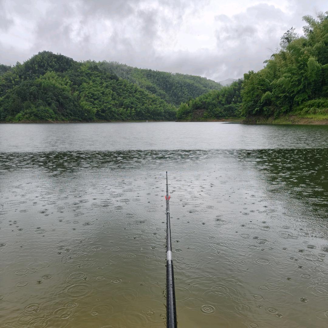 小武野钓🐟